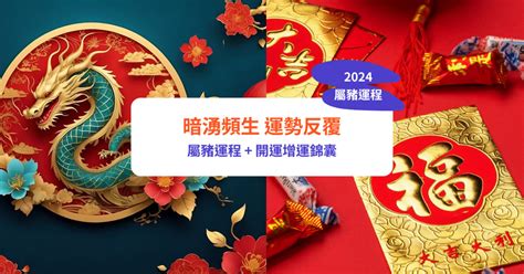 豬年2024運程|【屬豬2024生肖運勢】暗湧頻生，運勢反覆｜屬豬運 